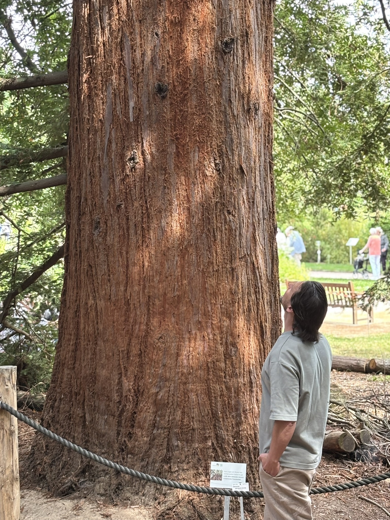 Igor Solowjew vor einem Mammutbaum im Botanischen Garten Bonn